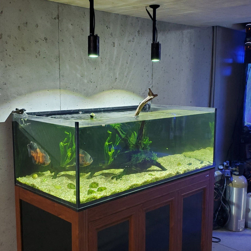 Kessil A160WE Tuna Sun & H160 Tuna Flora Hanging Mount 8.5 Inches
