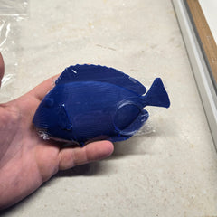 Floating Hippo Tang Decoy 5.5 in (Buy 3 Get 1 Free)