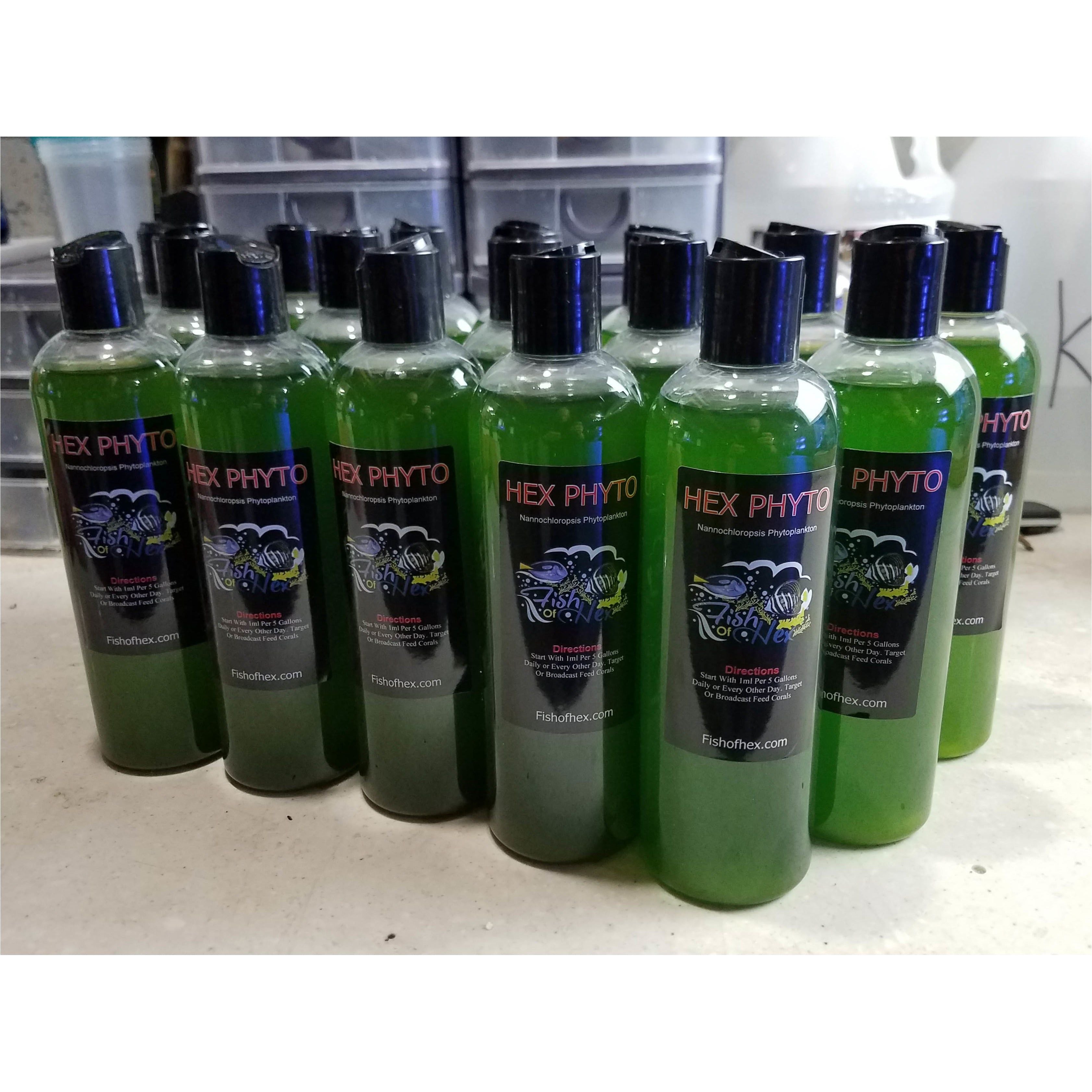 HEX Live Phytoplankton