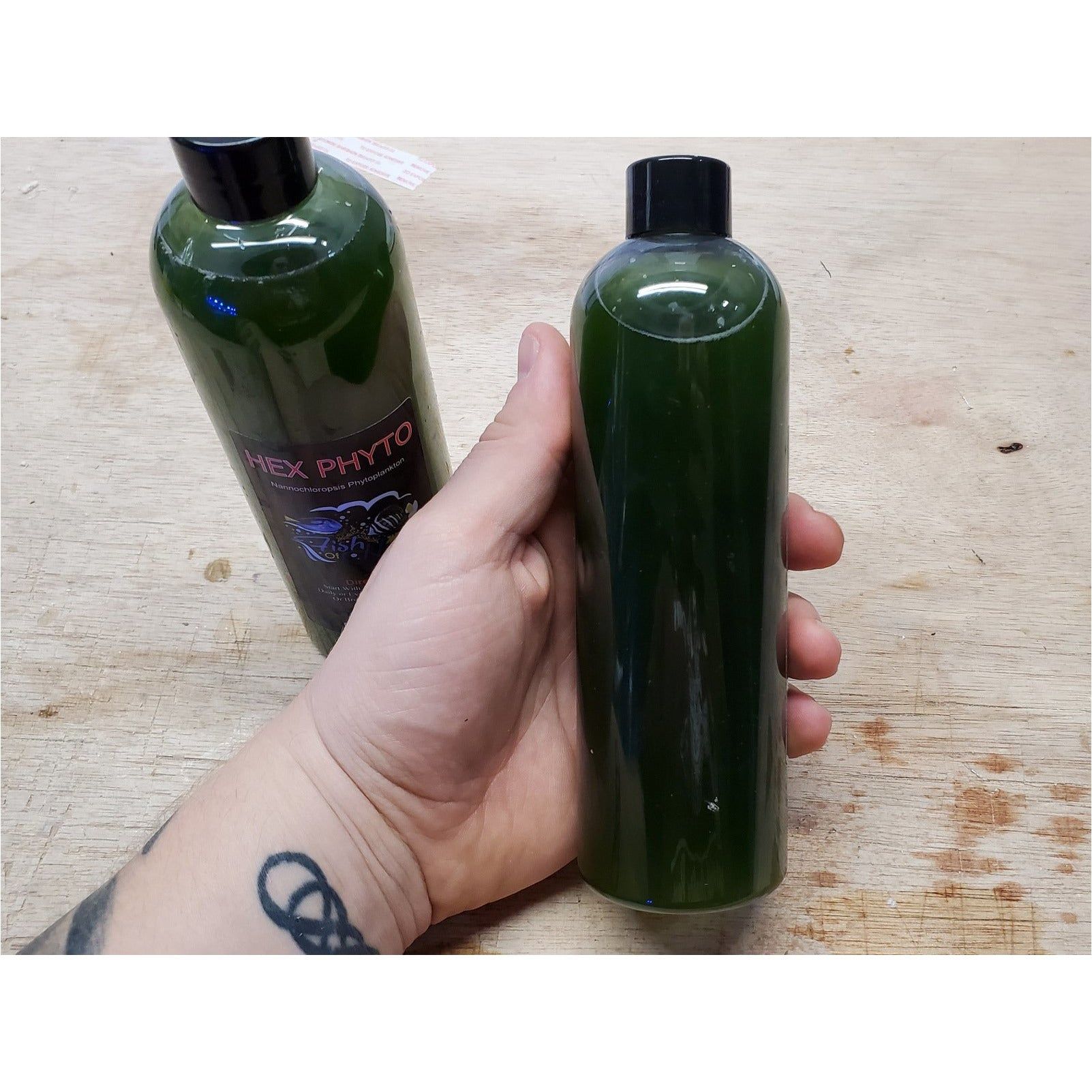 HEX Live Phytoplankton
