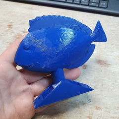 Blue Hippo Tang Decoy