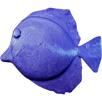 Purple Tang Decoy