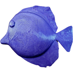Purple Tang Decoy