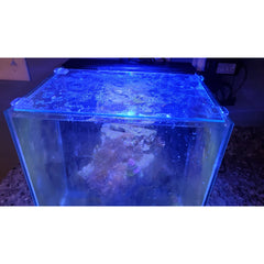 Kessil A80 Tuna Blue Mount (Custom Options)