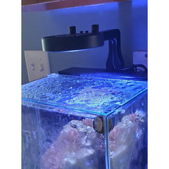 Kessil A80 Tuna Blue Mount (Custom Options)