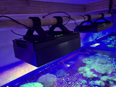 Gen 2 NICREW HyperReef 150 Light Shade