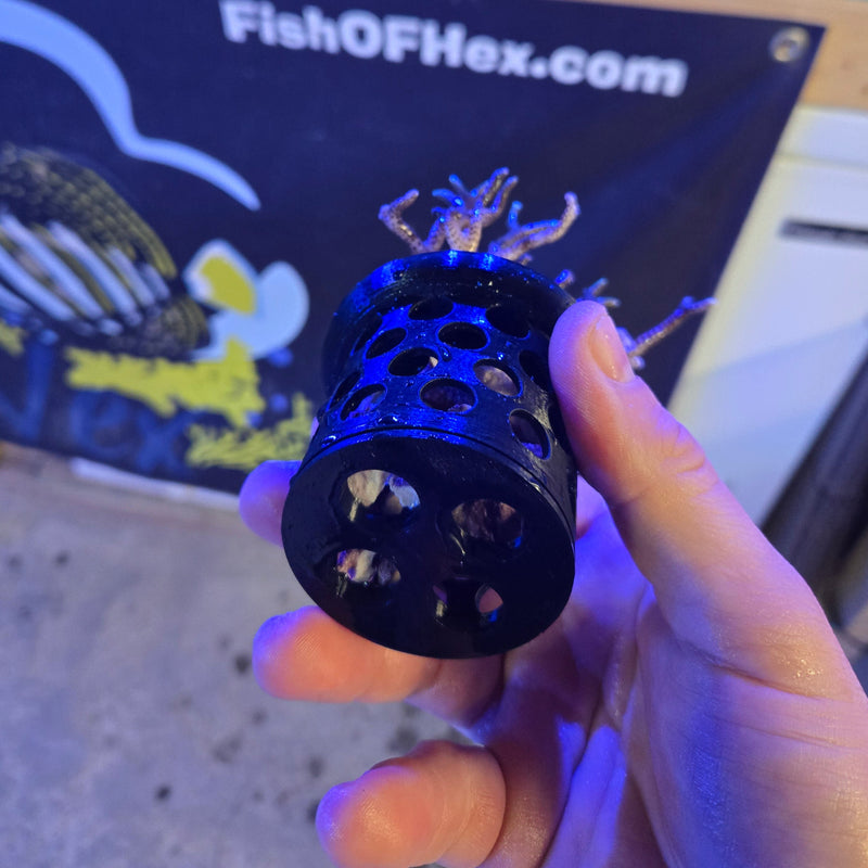 Coral Grow Out Disk