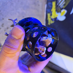 Coral Grow Out Disk