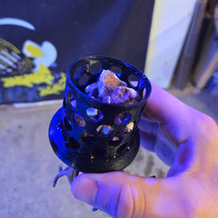 Coral Grow Out Disk
