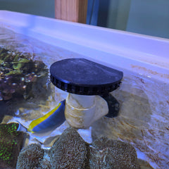 Surface Overflow With Lid