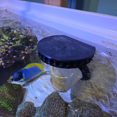 Surface Overflow With Lid