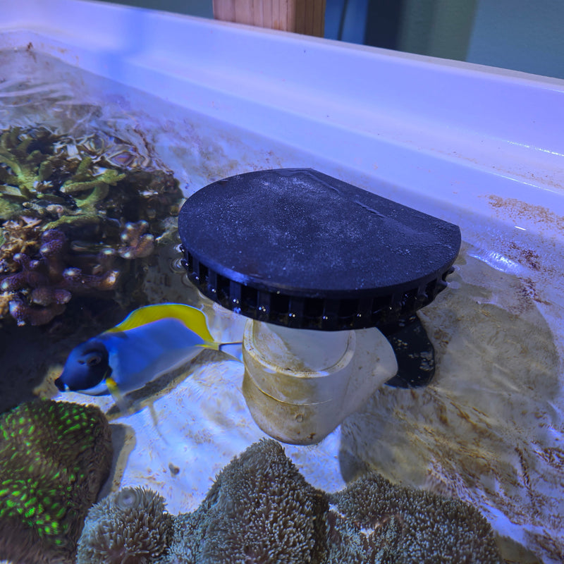 Surface Overflow With Lid