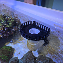 Surface Overflow With Lid