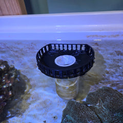 Surface Overflow With Lid