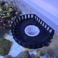 Surface Overflow With Lid